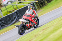 Oulton-Park-14th-March-2020;PJ-Motorsport-Photography-2020;anglesey;brands-hatch;cadwell-park;croft;donington-park;enduro-digital-images;event-digital-images;eventdigitalimages;mallory;no-limits;oulton-park;peter-wileman-photography;racing-digital-images;silverstone;snetterton;trackday-digital-images;trackday-photos;vmcc-banbury-run;welsh-2-day-enduro